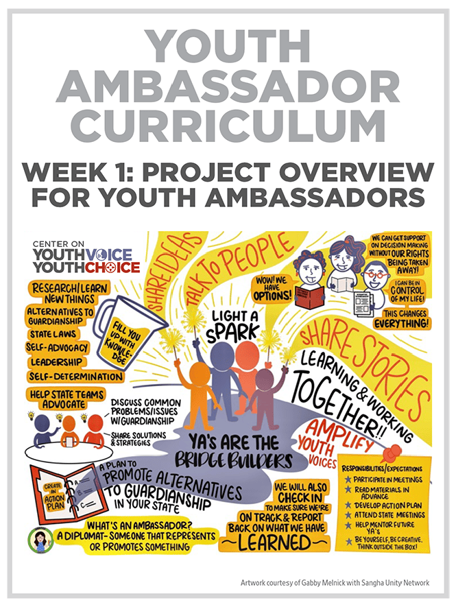 Week 1: Project Overview for Youth Ambassadors