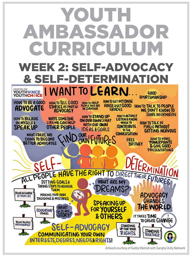 Week 2: Self-advocacy and Self-determination, Youth Ambassador Curriculum