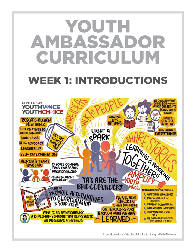 Week 1: Introductions, Youth Ambassador Curriculum