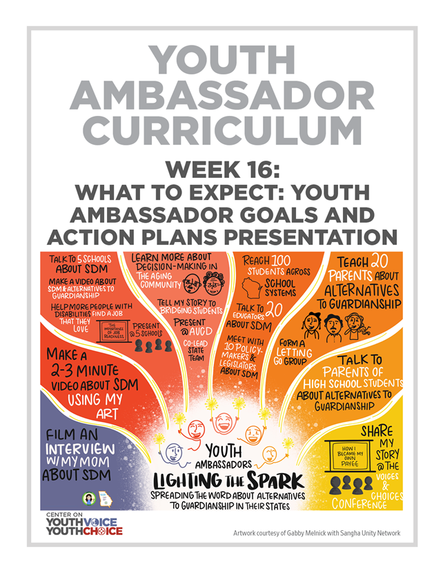 Week 16: What to Expect: Youth Ambassador Goals and Action Plans Presentation, Youth Ambassador Curriculum