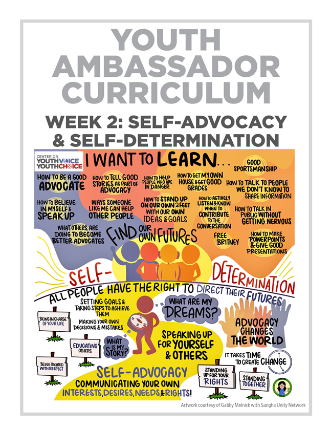 Week 2: Self-advocacy and Self-determination, Youth Ambassador Curriculum