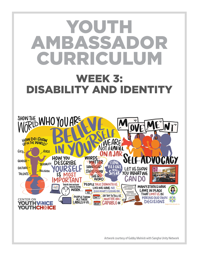 Week 3: Disabilty and Identity, Youth Ambassador Curriculum