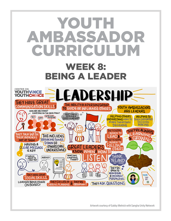 Week 9: Youth Leaders in Action, Youth Ambassador Curriculum